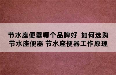 节水座便器哪个品牌好  如何选购节水座便器 节水座便器工作原理